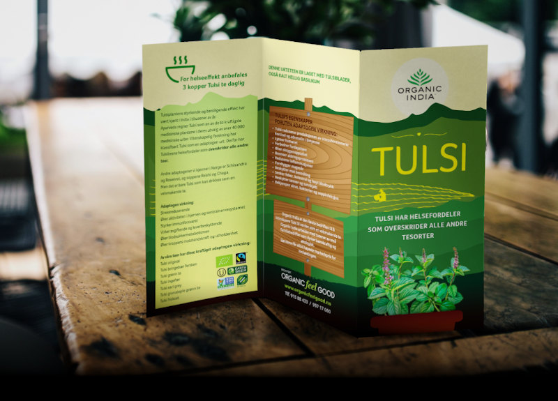 Triptych Brochure | OFG